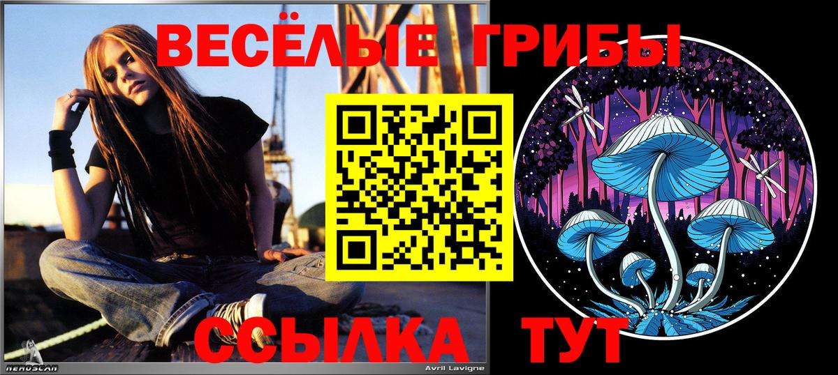 Ефремов  Псилоцибиновые грибы Psilocybe  Вход с VPN 
